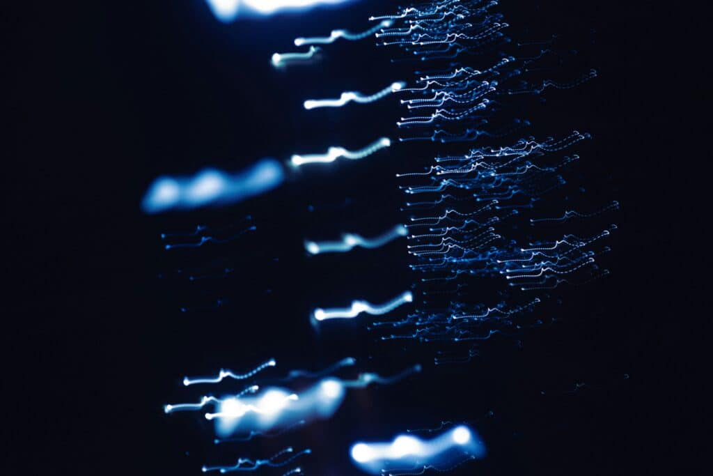 Affordable cyber security for small businesses advice with tailored protection solutions
